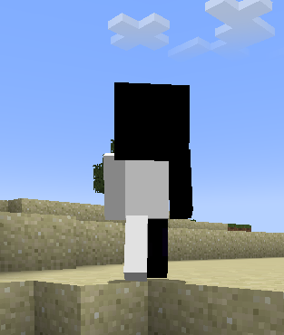 Entity documentation