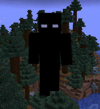 Entity documentation