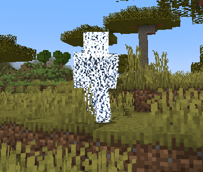 Entity documentation