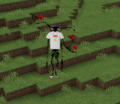 Entity documentation