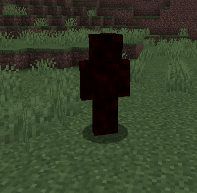 Entity documentation