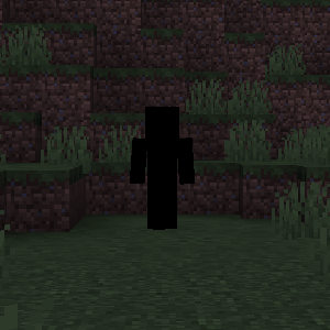 Entity documentation